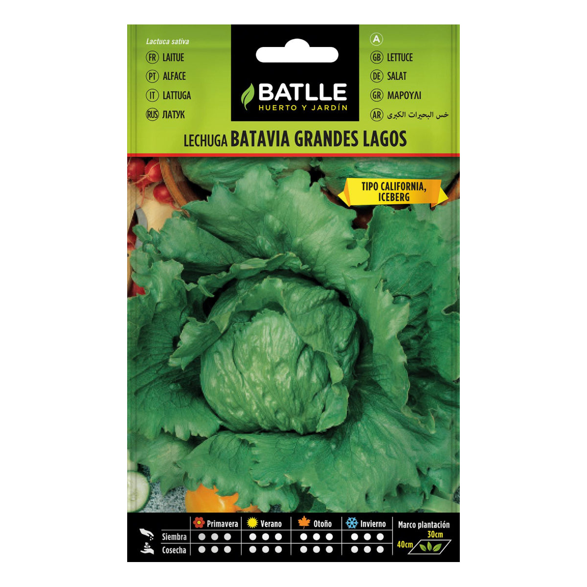 Large Batlle Lettuce Seeds