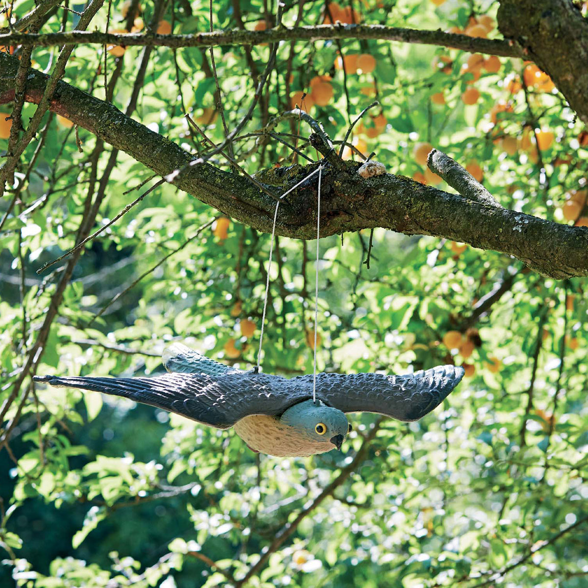 Fågelskrämma Verdemax