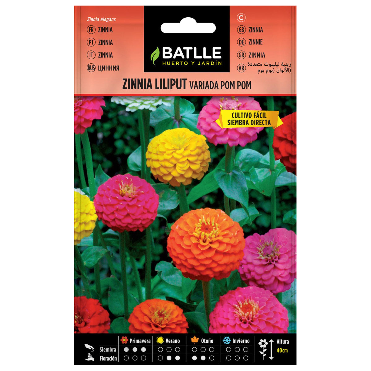 Zinnia-Samen Liliput gemischt Pom Pom Batlle