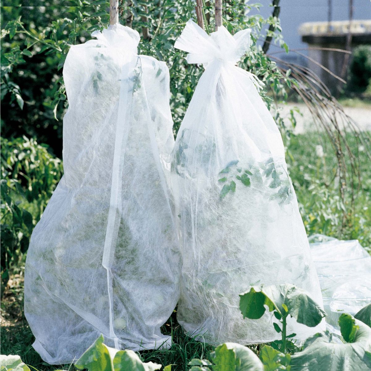 Tkanina ochronna przed mrozem Verdemax 1,1 x 10 m