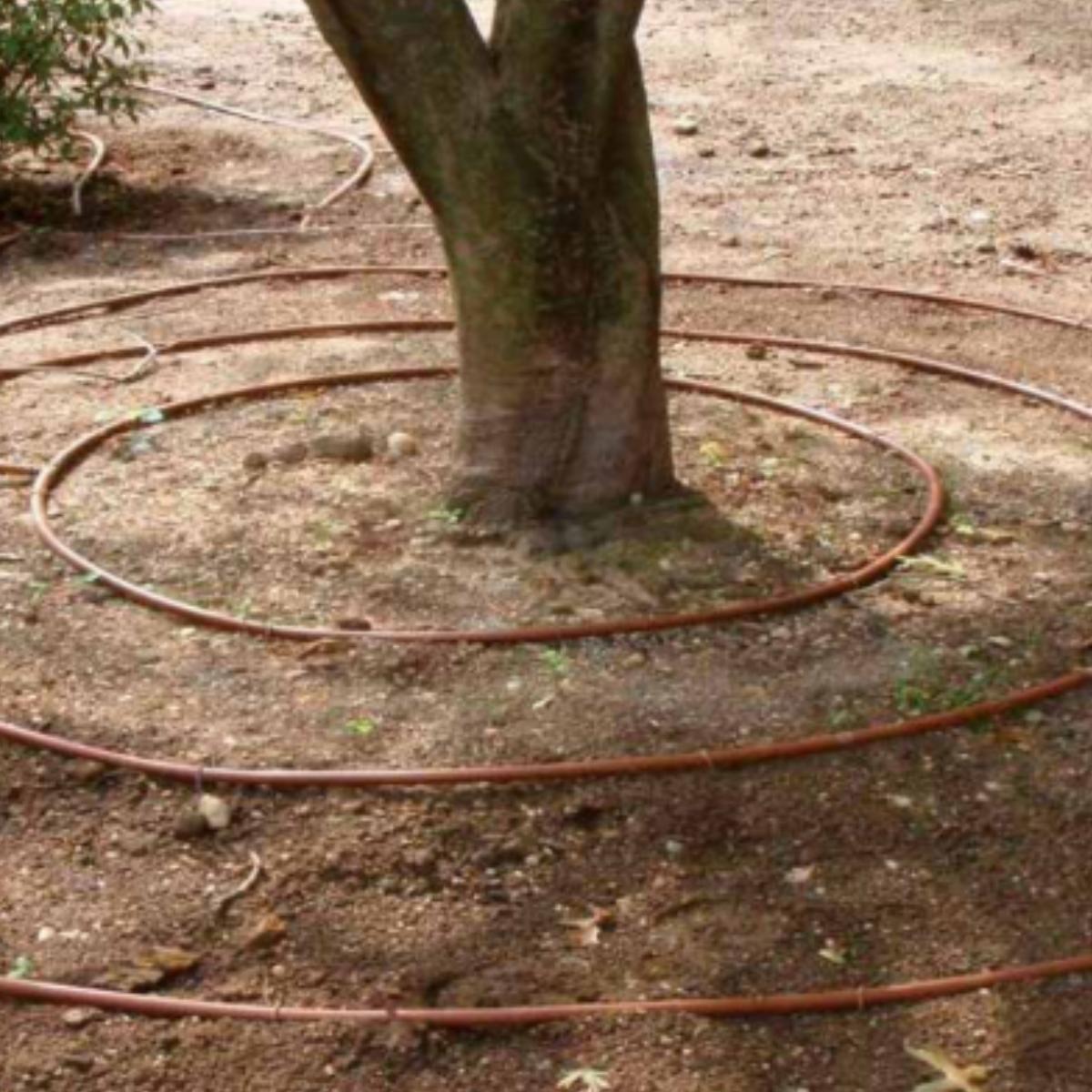 Brązowa rura z wbudowanymi kroplownikami 16 mm Aqua Control 100 m