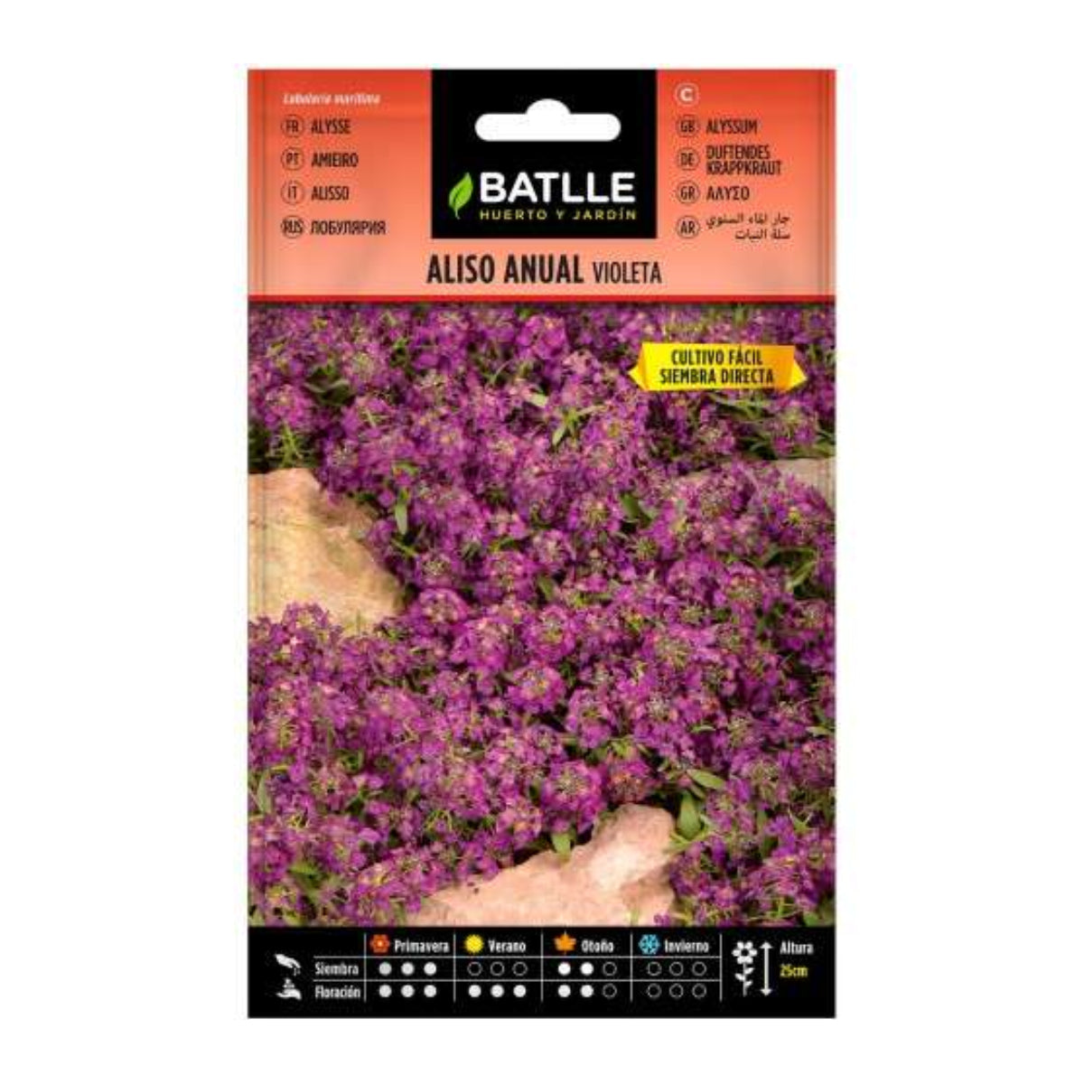 Batlle årliga violetta alisofrön