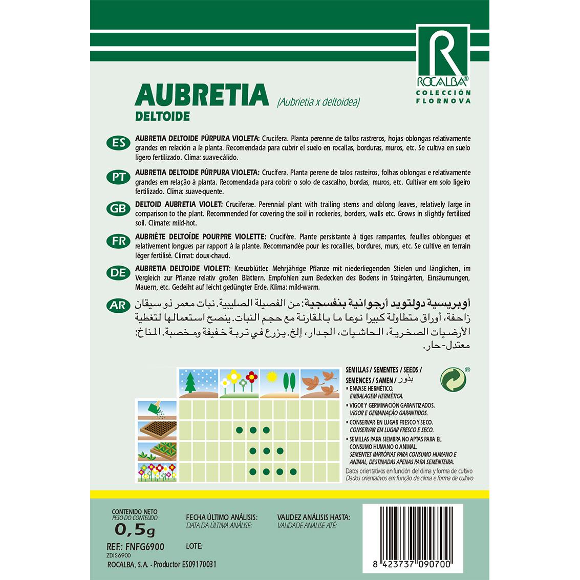 Aubretia deltoide Samen, violett-purpurfarben