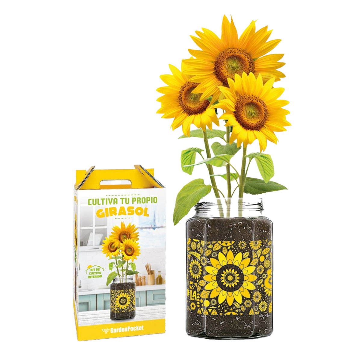 Odlingskit Plantera din egen solros, Garden Pocket