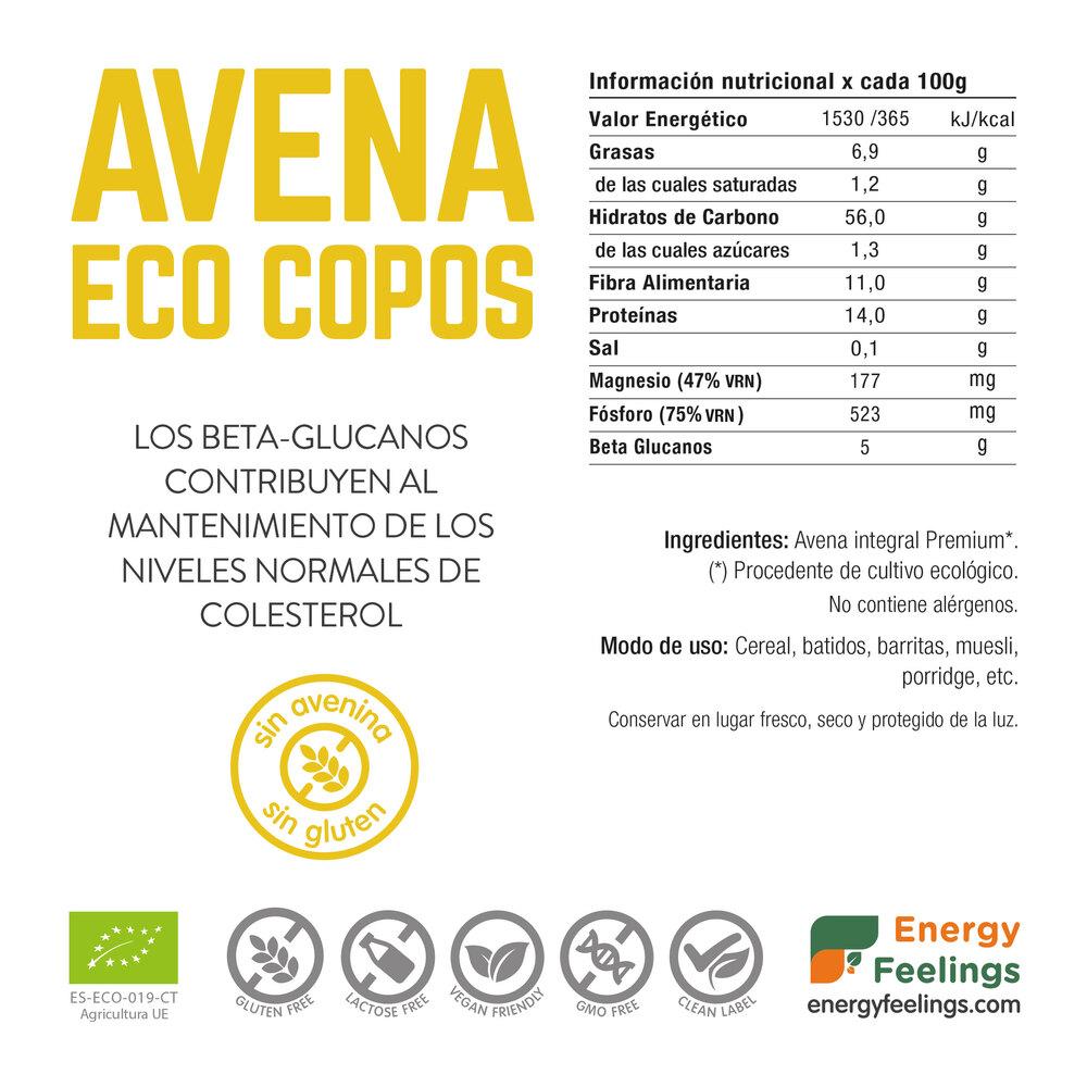 Fiocchi d'avena ECO senza glutine Energy Feelings 1 kg
