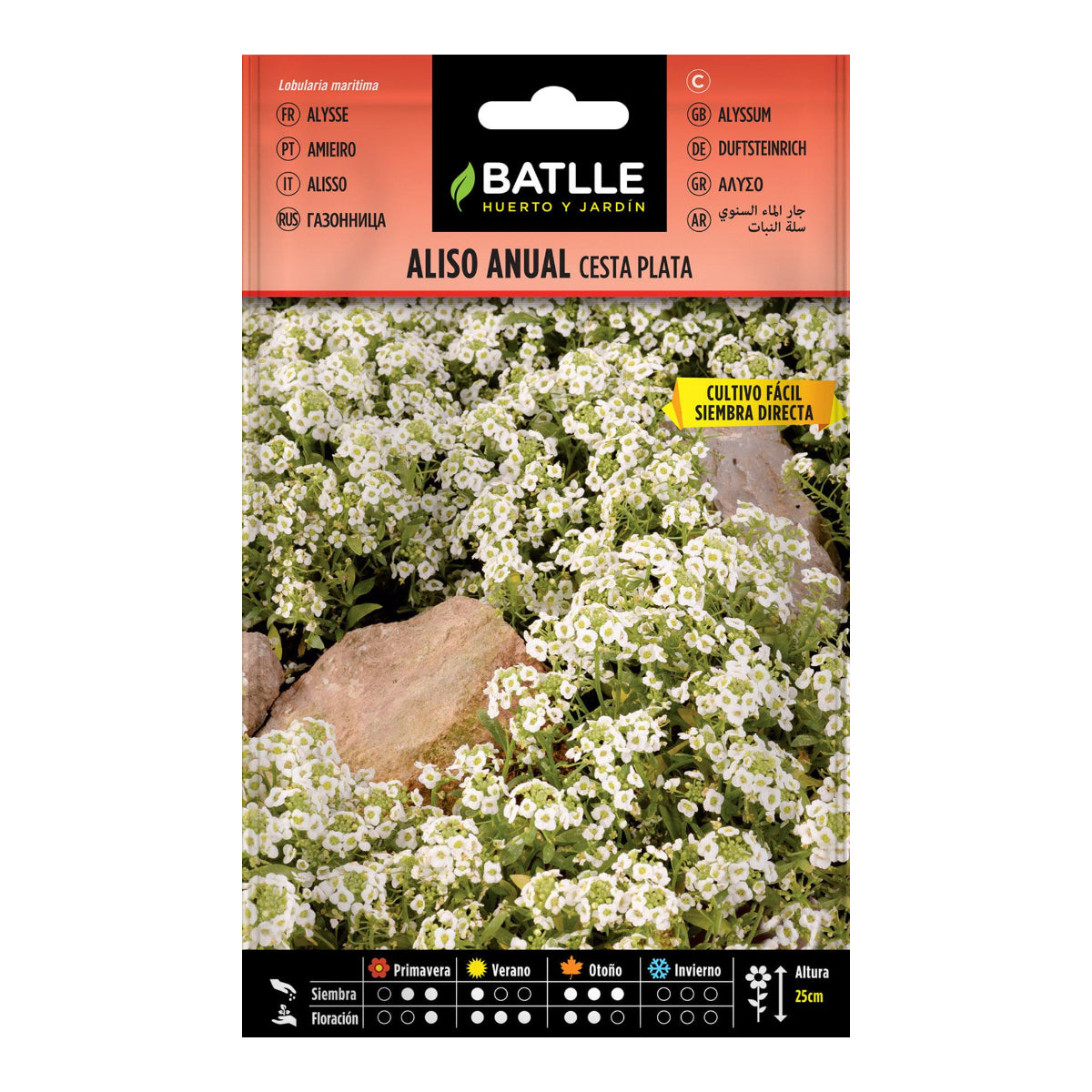 Einjährige Erlen-Samen, silberner Korb Batlle