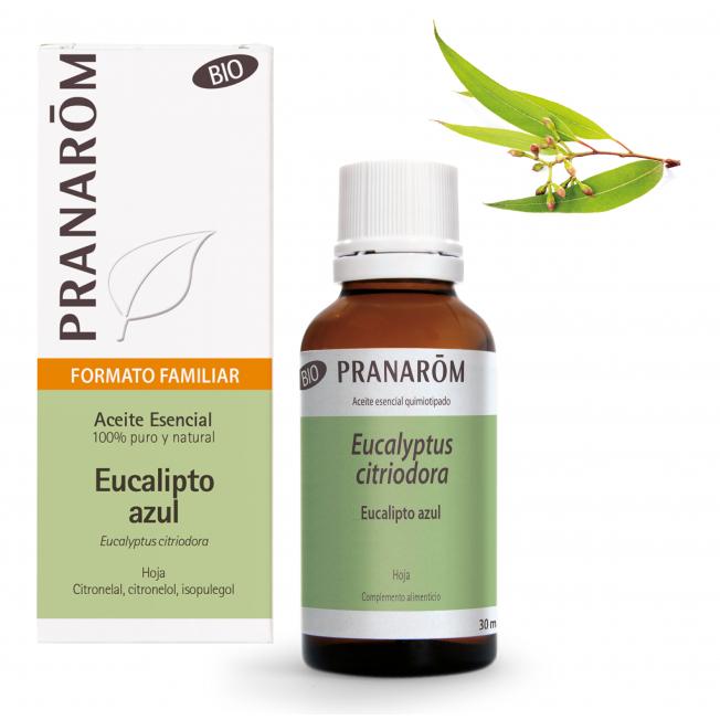 Pranarom Organic Blue Eucalyptus Leaf Essential Oil 30 ml