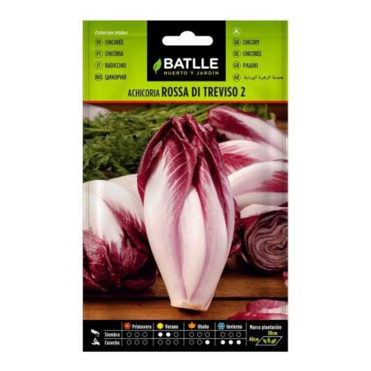 Zichoriensamen Rossa di Treviso Batlle