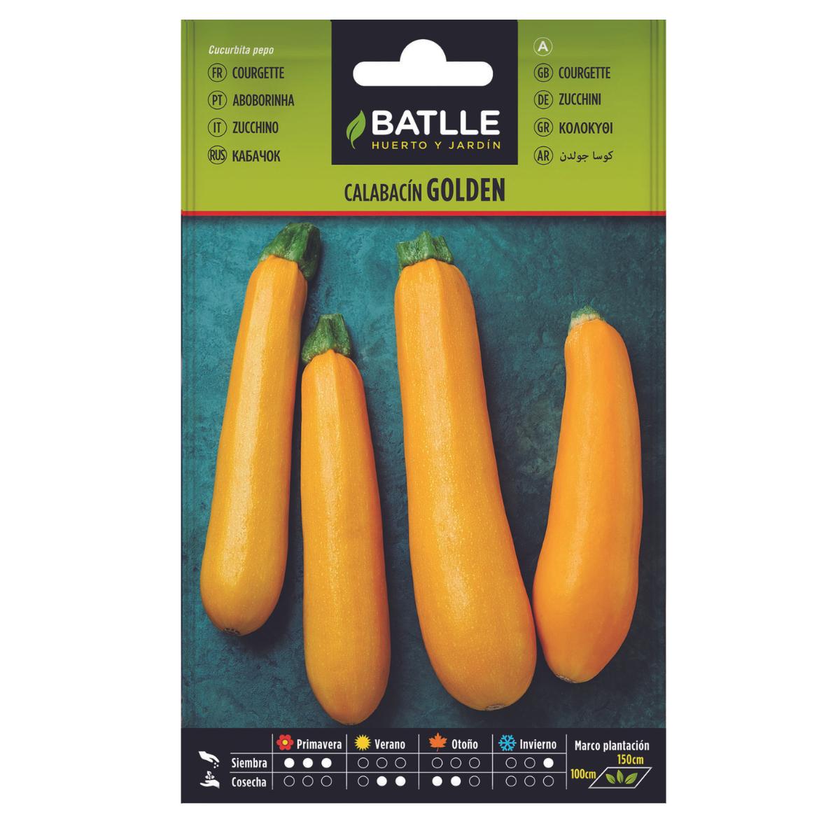 Zucchinifrön Golden Batlle