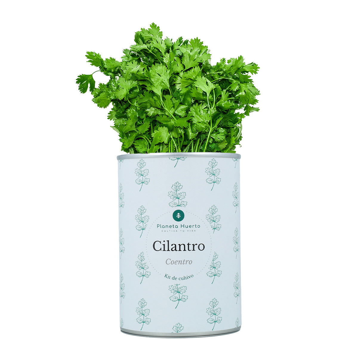 Kit per la coltivazione del cilantro Planeta Huerto