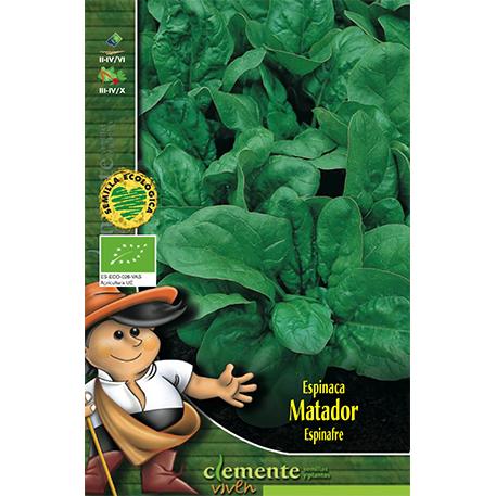 Graines d'épinards Matador Clemente