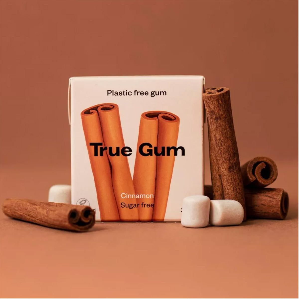 Chewing-gum sans plastique à la cannelle True Gum 21 g