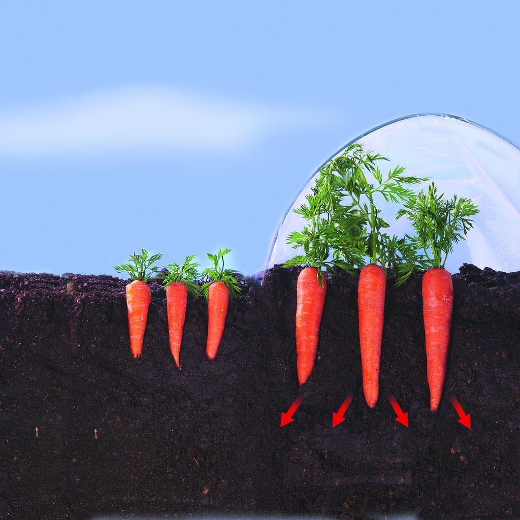 Film de culture pour légumes précoces Climafilm Nortene 2 x 10 m