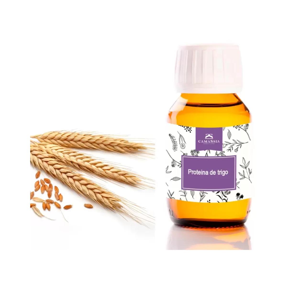 Tarwe-eiwit, 50 ml. Camassia