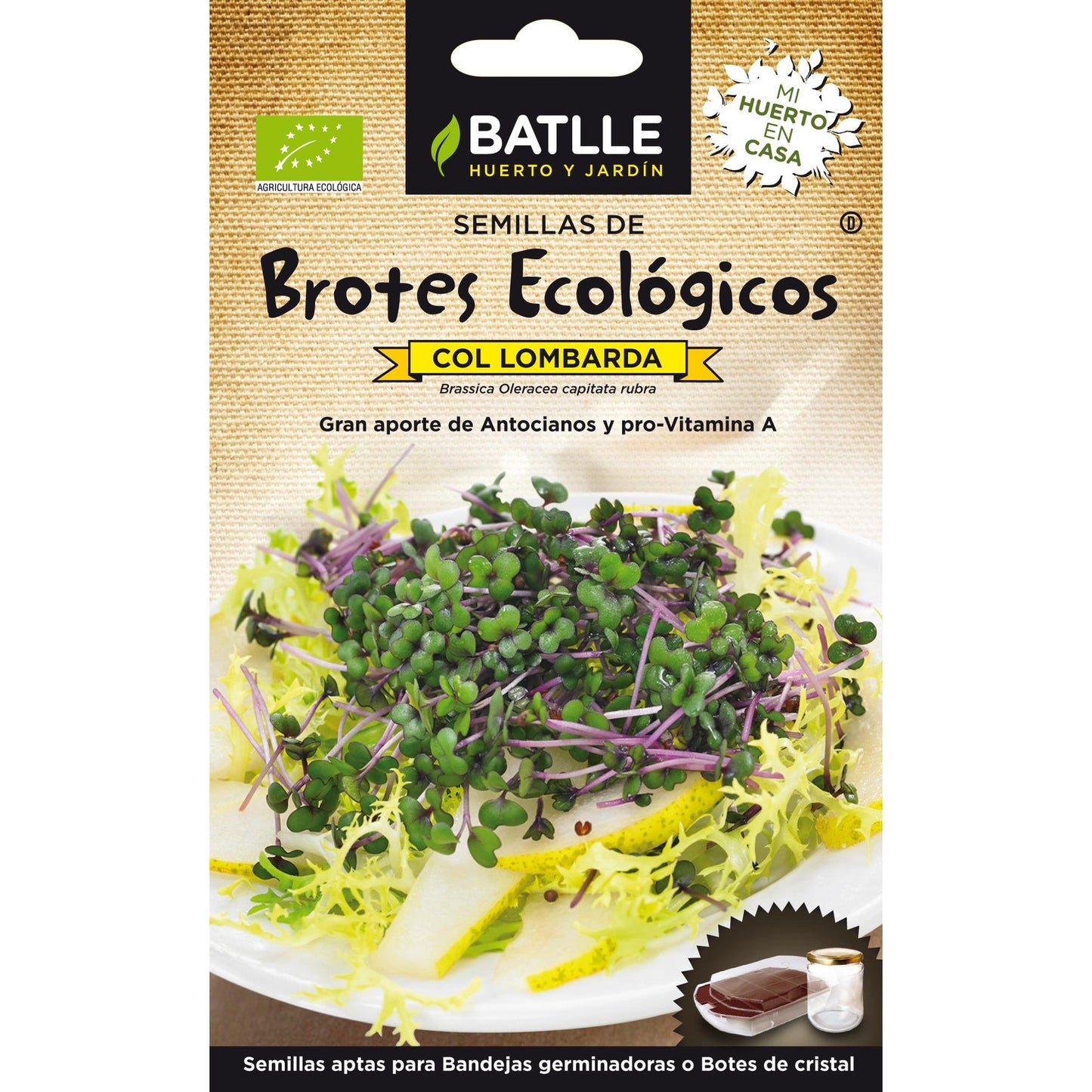 Ökologische Rotkohlsamen für Sprossen Batlle