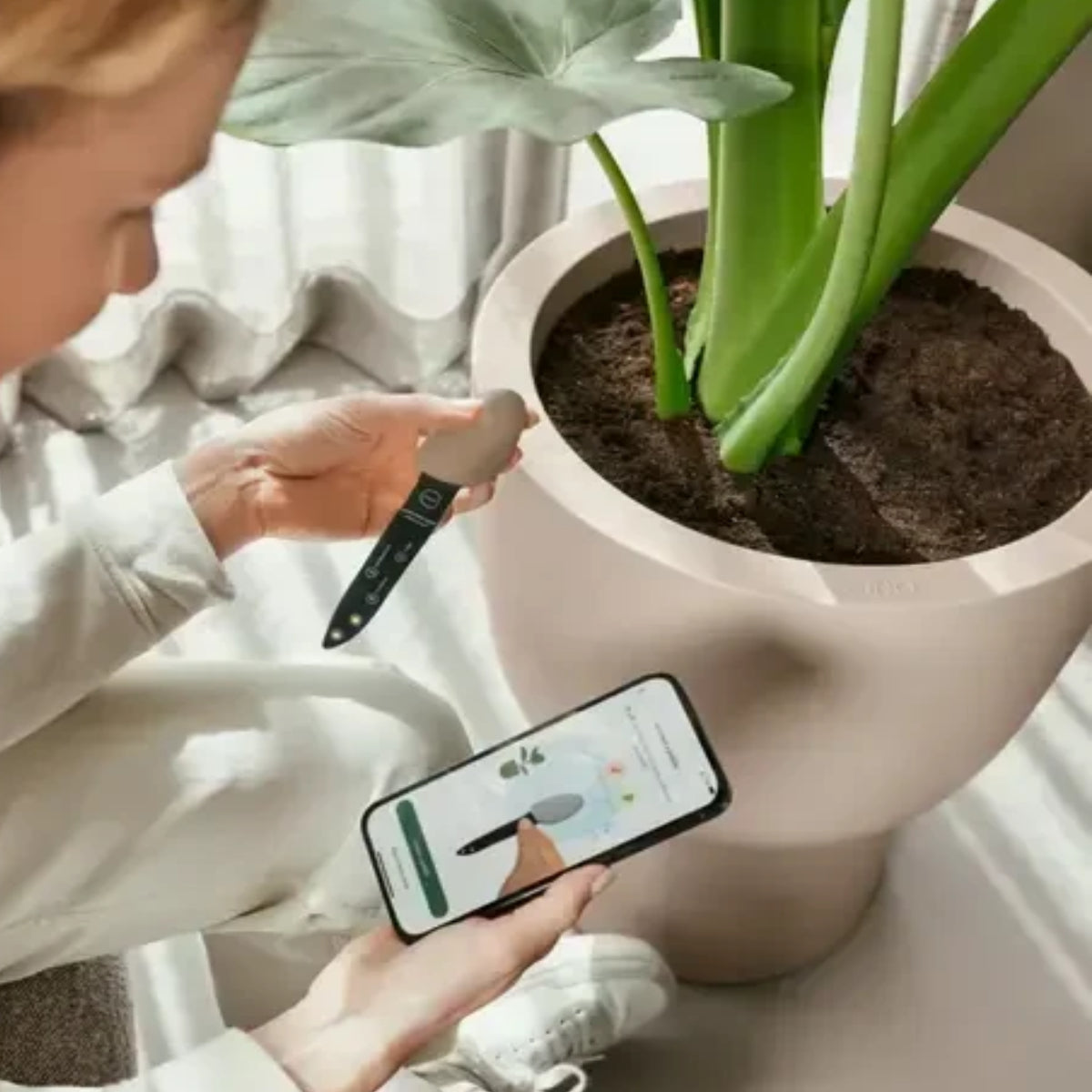 Assistente digitale per la cura delle piante Elho Smart Pebble