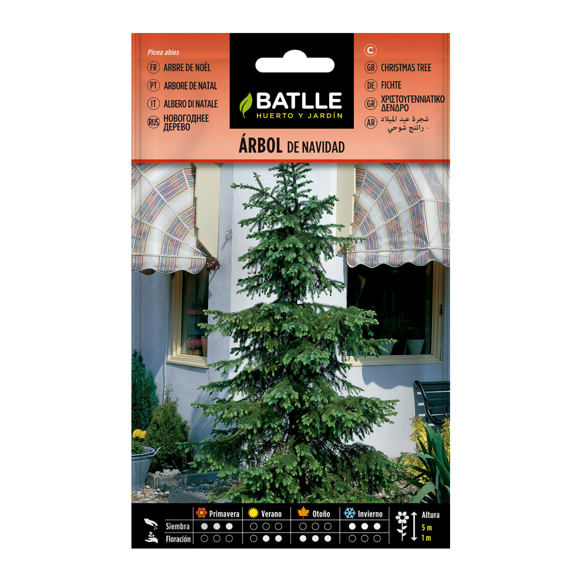 Batlle Christmas tree seeds