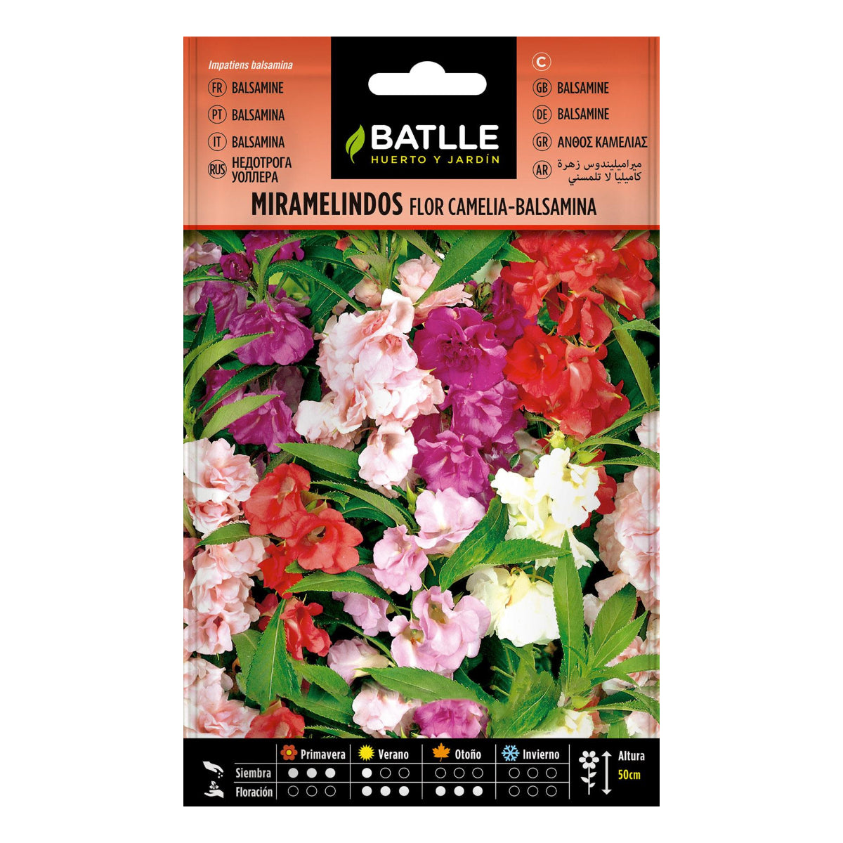 Graines de Miramelindos fleur Camelia Balsamia Batlle