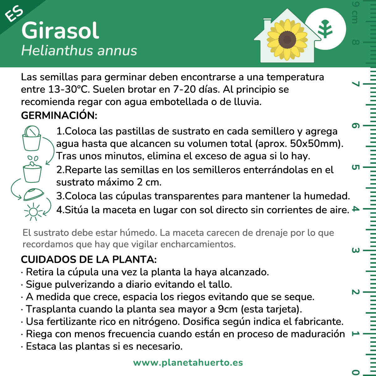 Bausatz für den Selbstanbau von Sonnenblumen Planeta Huerto