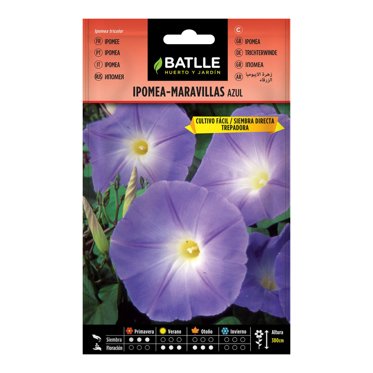 Samen der Blauen Ipomea Batlle