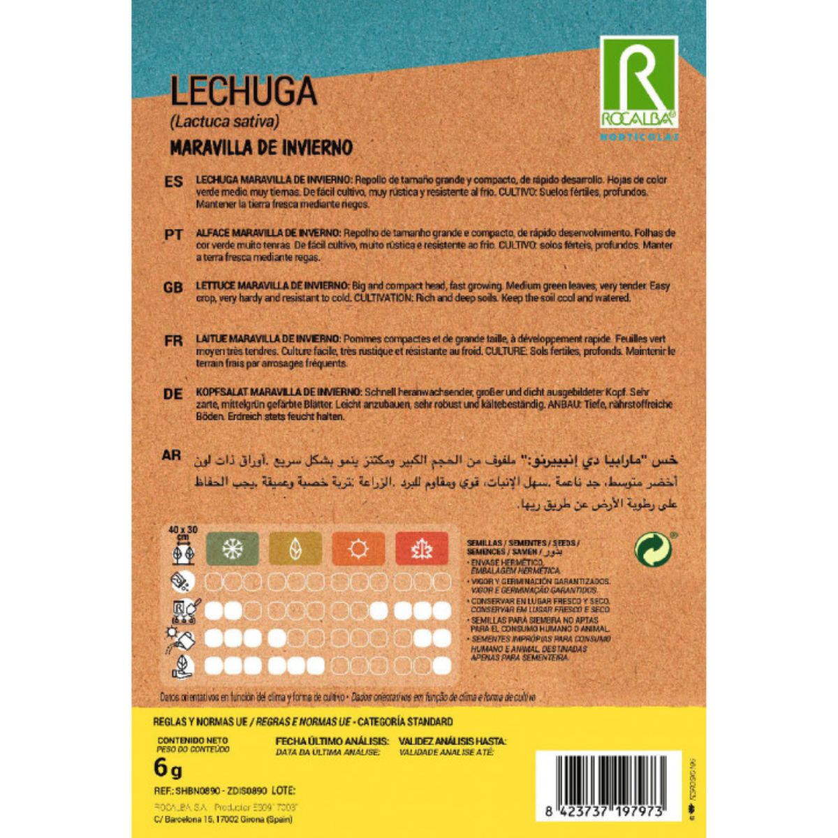 Graines de laitue merveille d'hiver