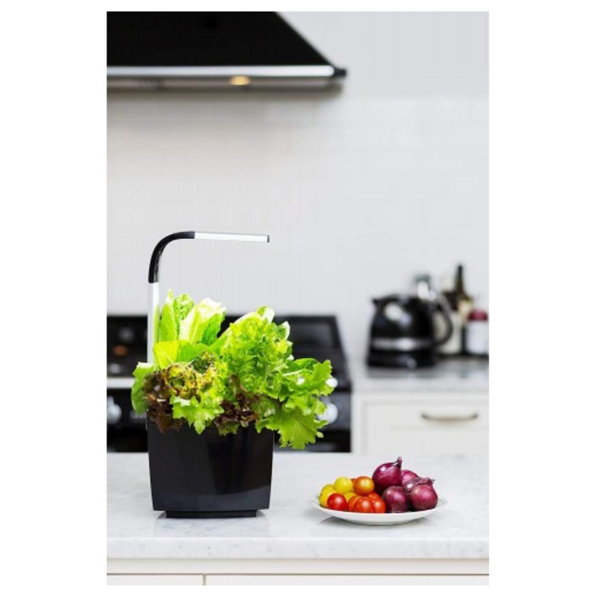 Pot de culture T3 Kitchen Garden 20 x 17,5 cm Noir