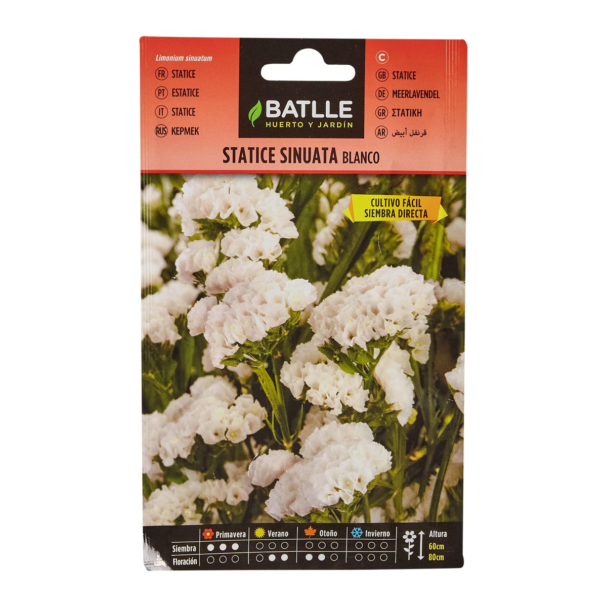 Semi di Statice bianco Batlle