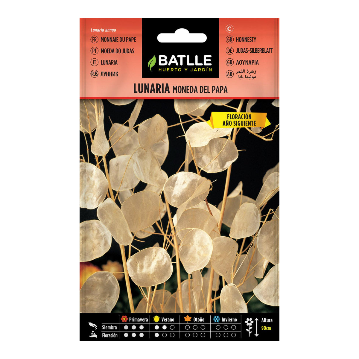 Semi di Lunaria moneta del Papa Batlle