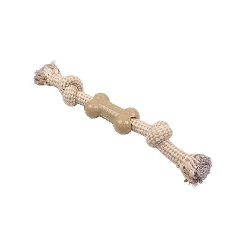 Nattlig benben Arquivet