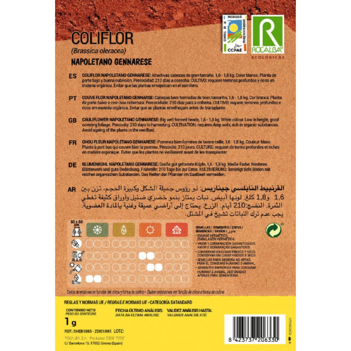 Rocalba organic Neapolitan cauliflower seeds