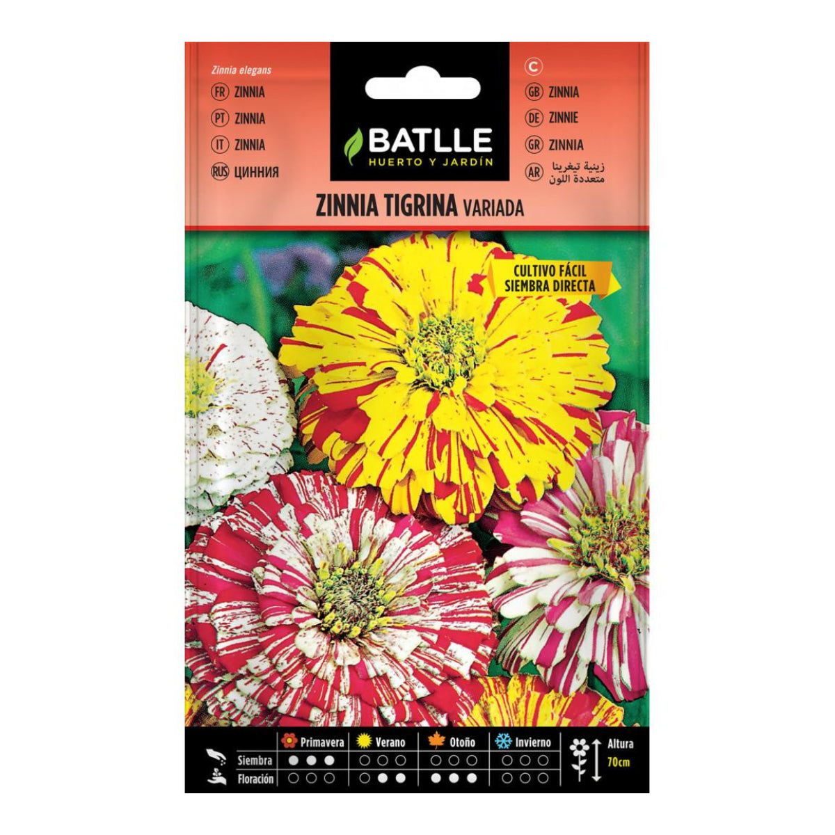 Gemischte Zinnia Tigrina-Samen Batlle