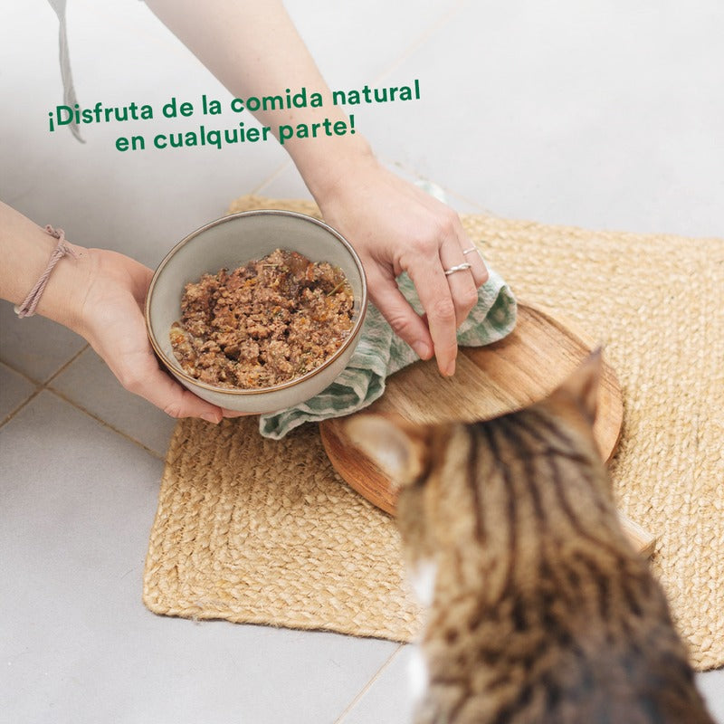 Zestaw BARF dla kotów z wieprzowiną i warzywami 6 x 120 g Wild Balance