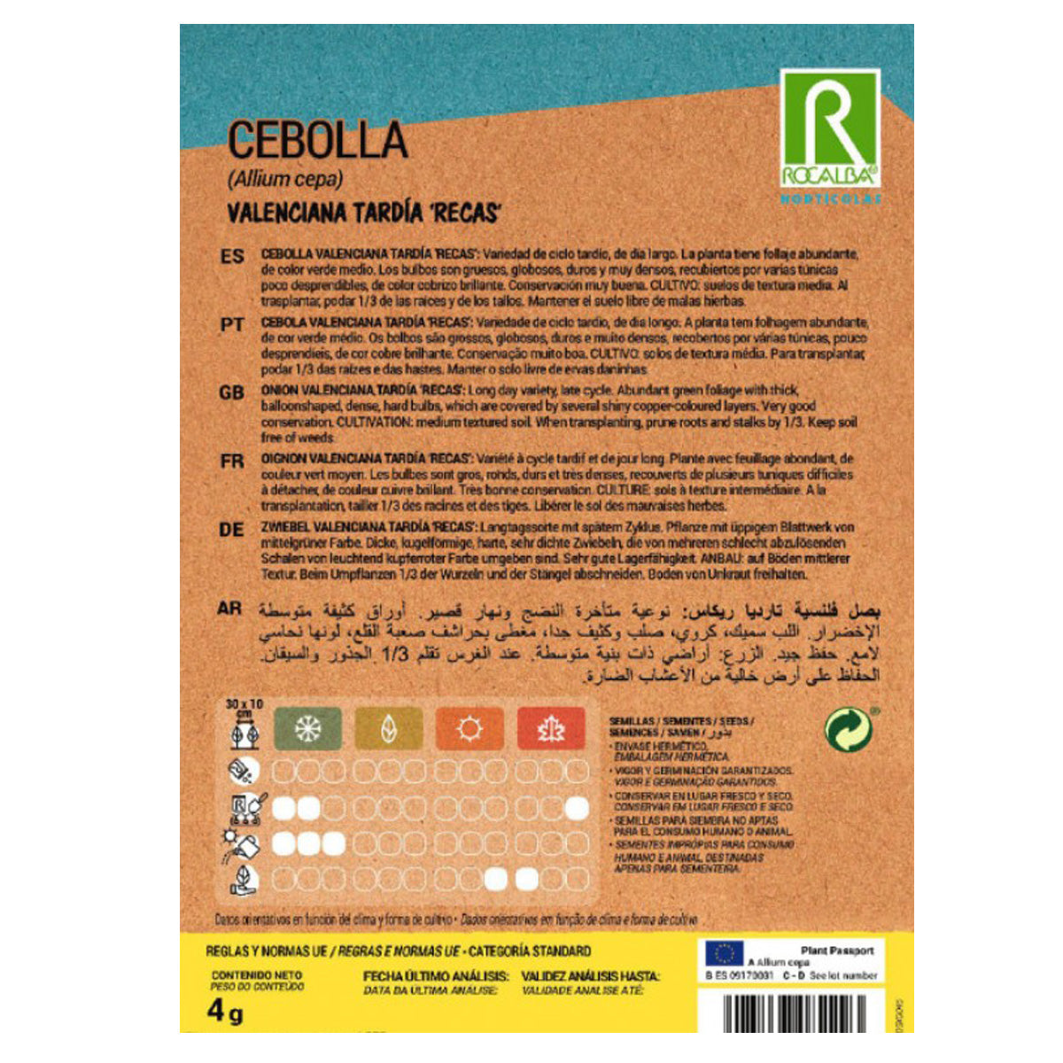 Nasiona cebuli późnej Valenciana w taśmie, Rocalba