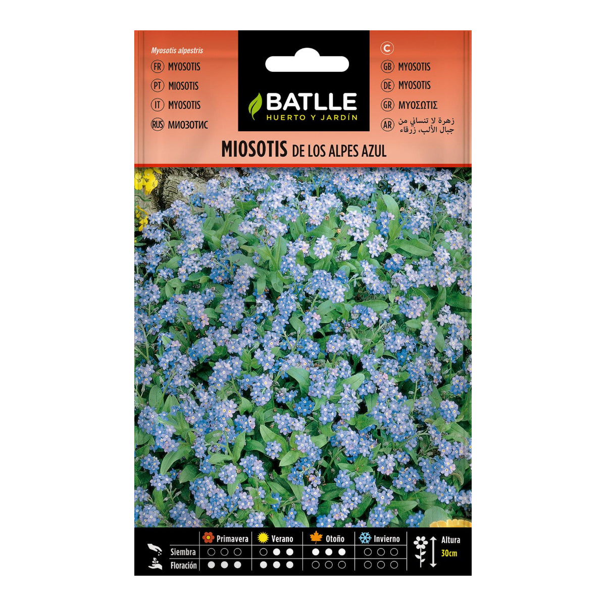 Alpine Forget-me-not Seeds Batlle