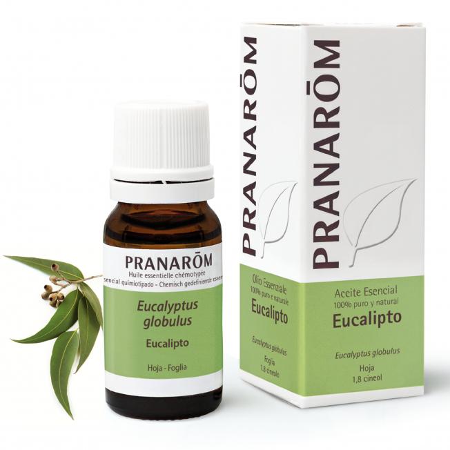 Ätherisches Öl Eukalyptus globulus Pranarom 10 ml