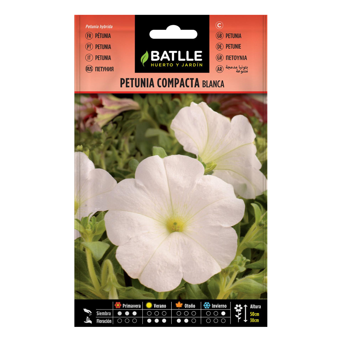 White compact petunia seeds