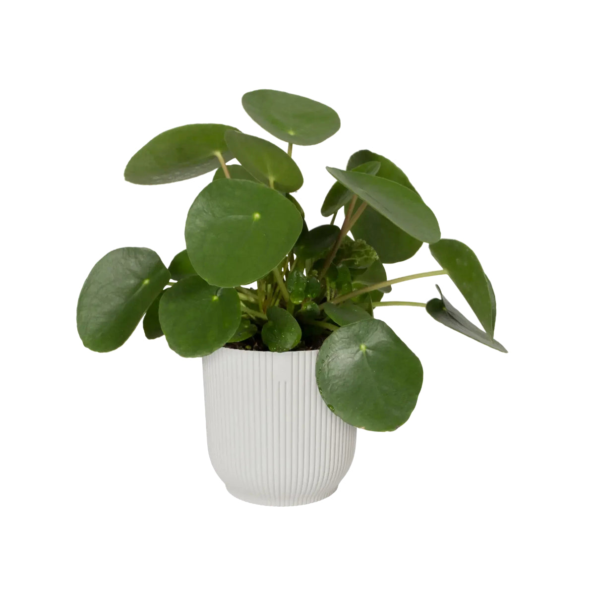 Macetero vibes fold round silky white Elho 30 cm