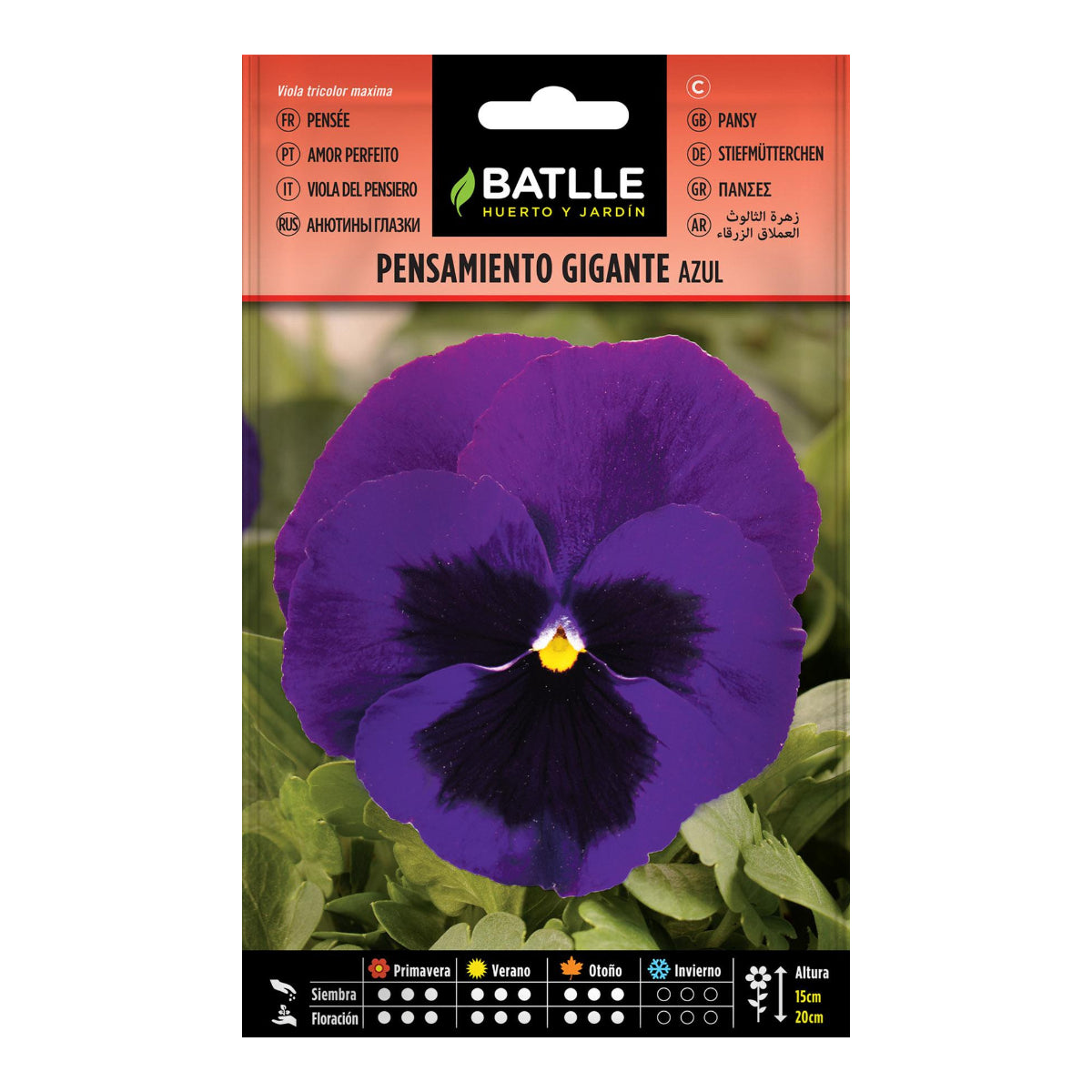 Batlle Giant Blue Pansy Seeds