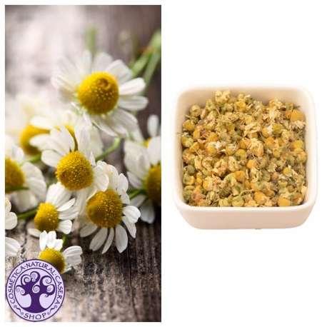 Bio-Kamillenblüten Camassia, 50 g
