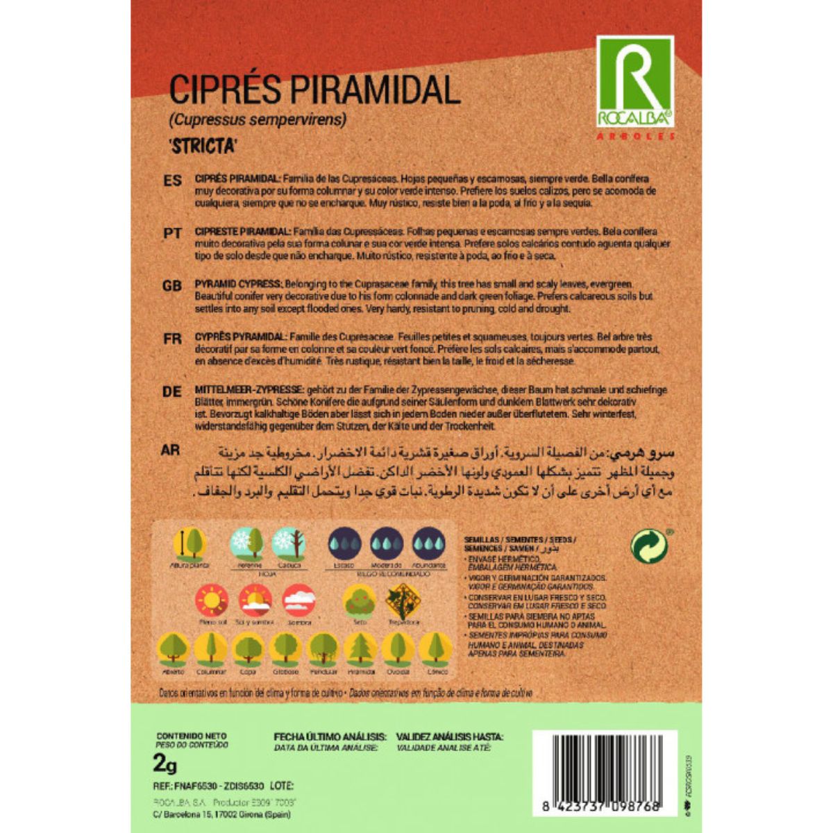 Semi di cipresso piramidalis Cipressi sempreverdi