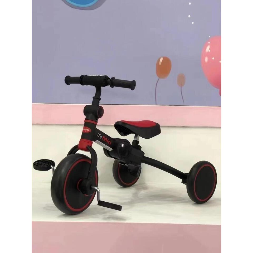Pillu 2-in-1 Children's Ride-On Toy