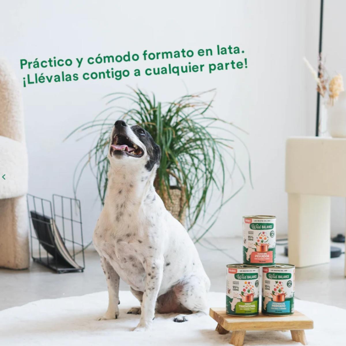 6-pack Wild Balance marktstoofpot met kalkoen en rundvlees voor honden 400 g