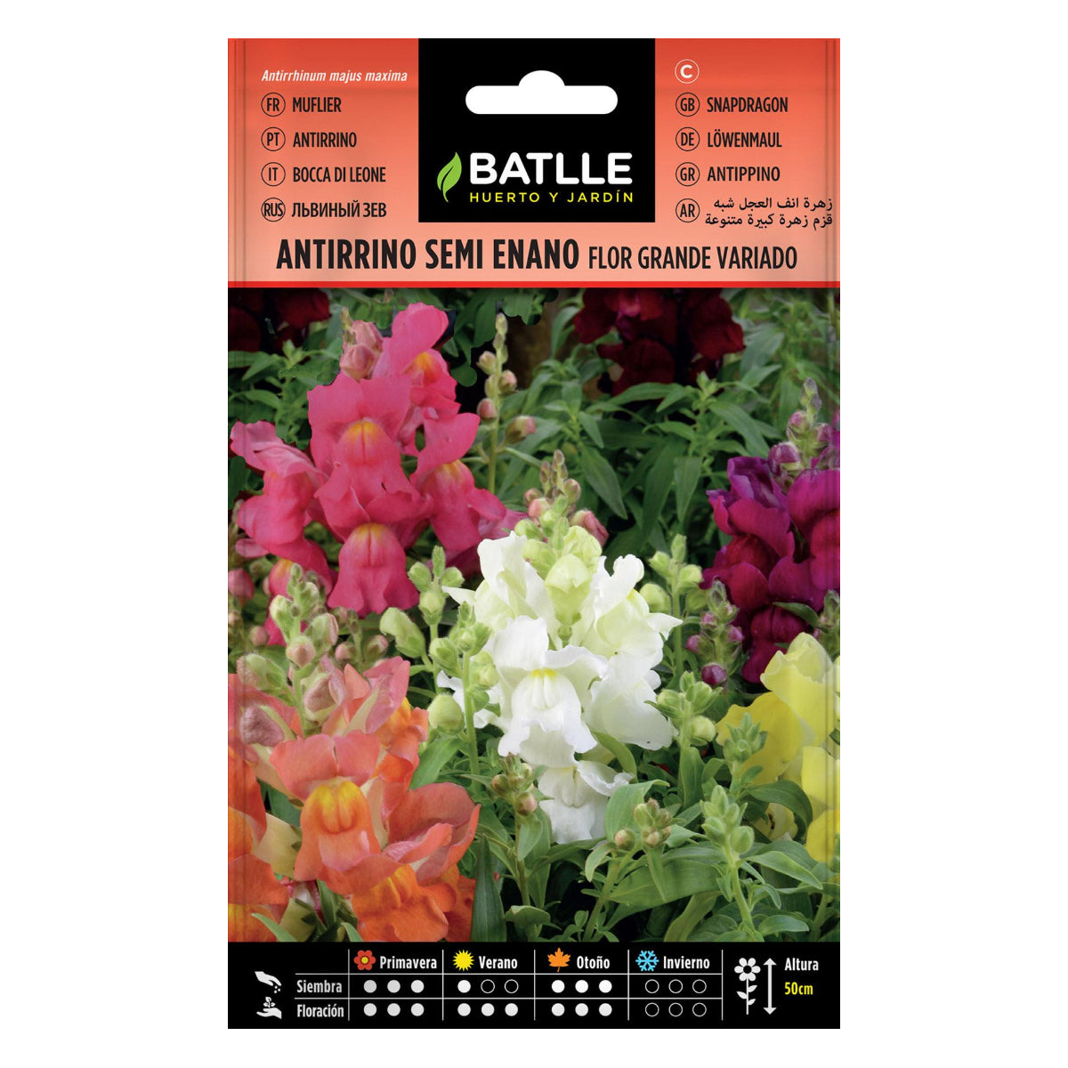 Batlle halv dvärgförbi-frön