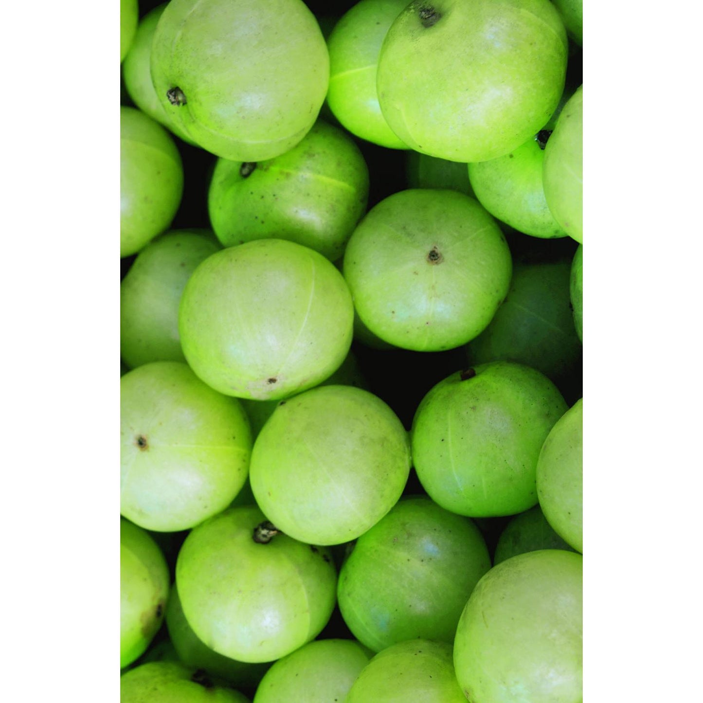 Champú Amla Volumen Khadi 200ml