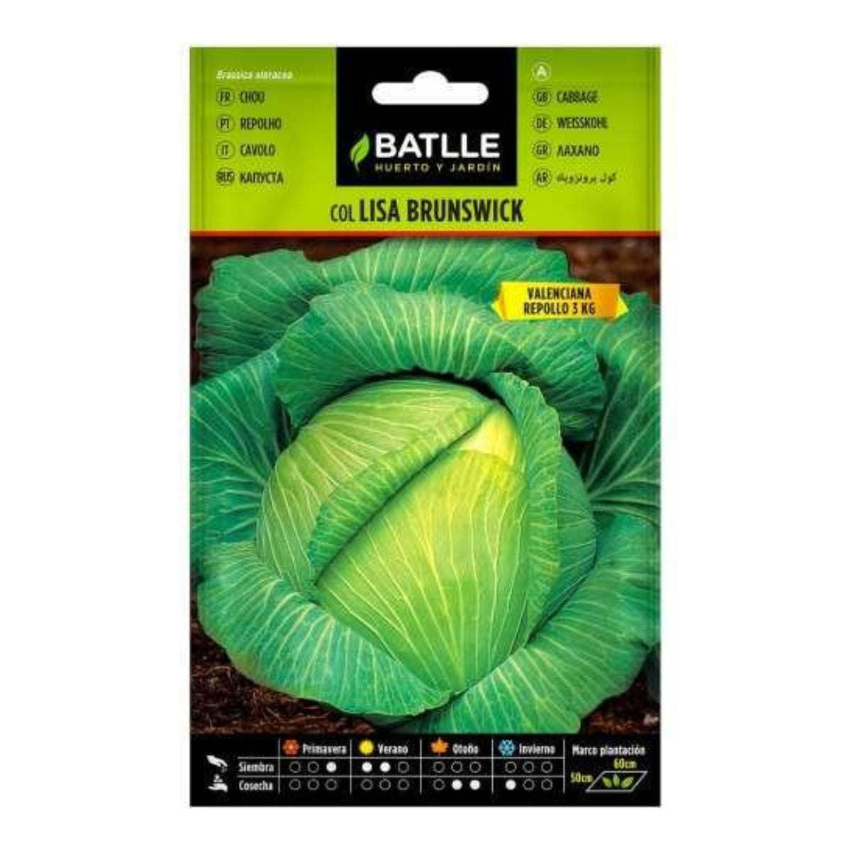 Brunswick cabbage seeds (Valencian) Batlle