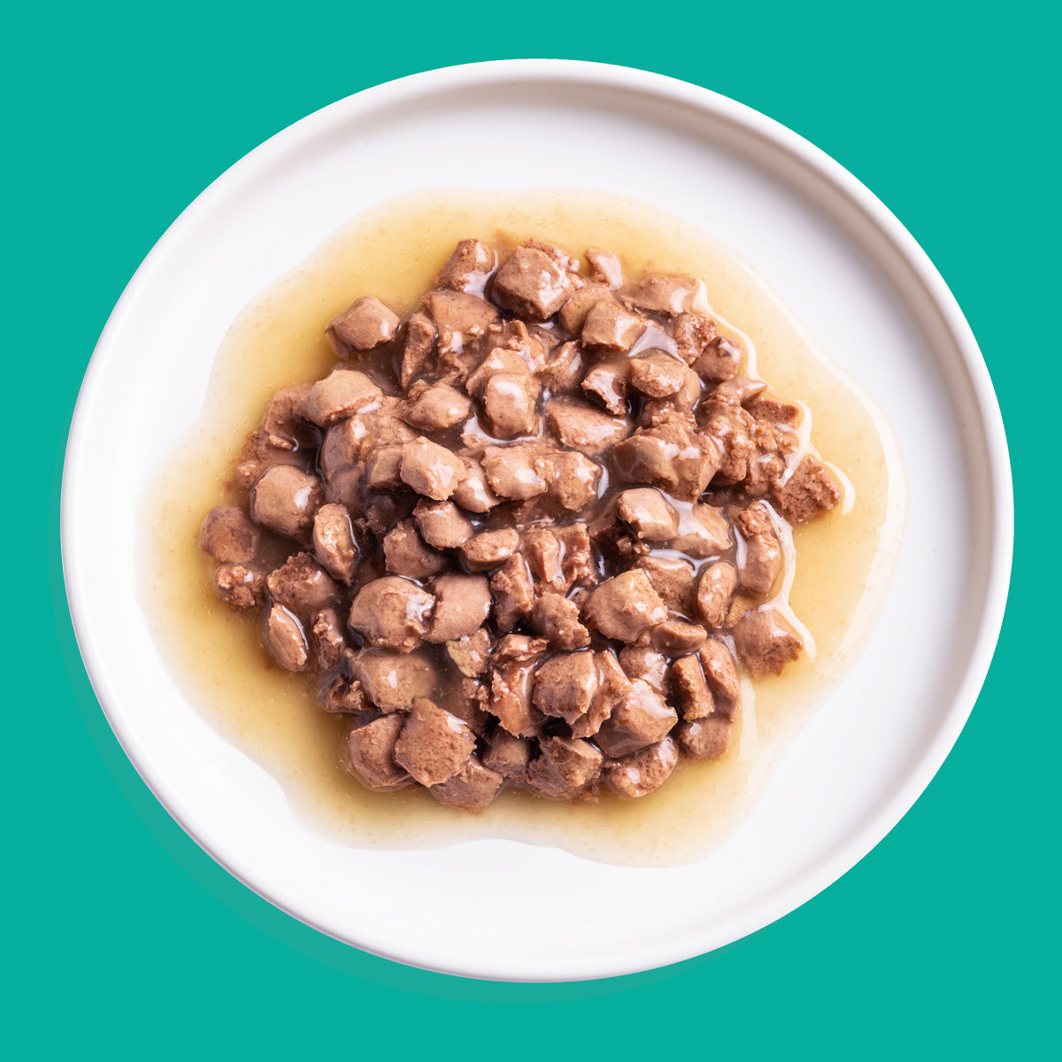 Natvoer voor katten in saus stukjes zalm en kip Edgard & Cooper 85 g