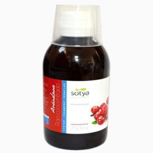 Cranberrysapconcentraat Sotya, 250 ml