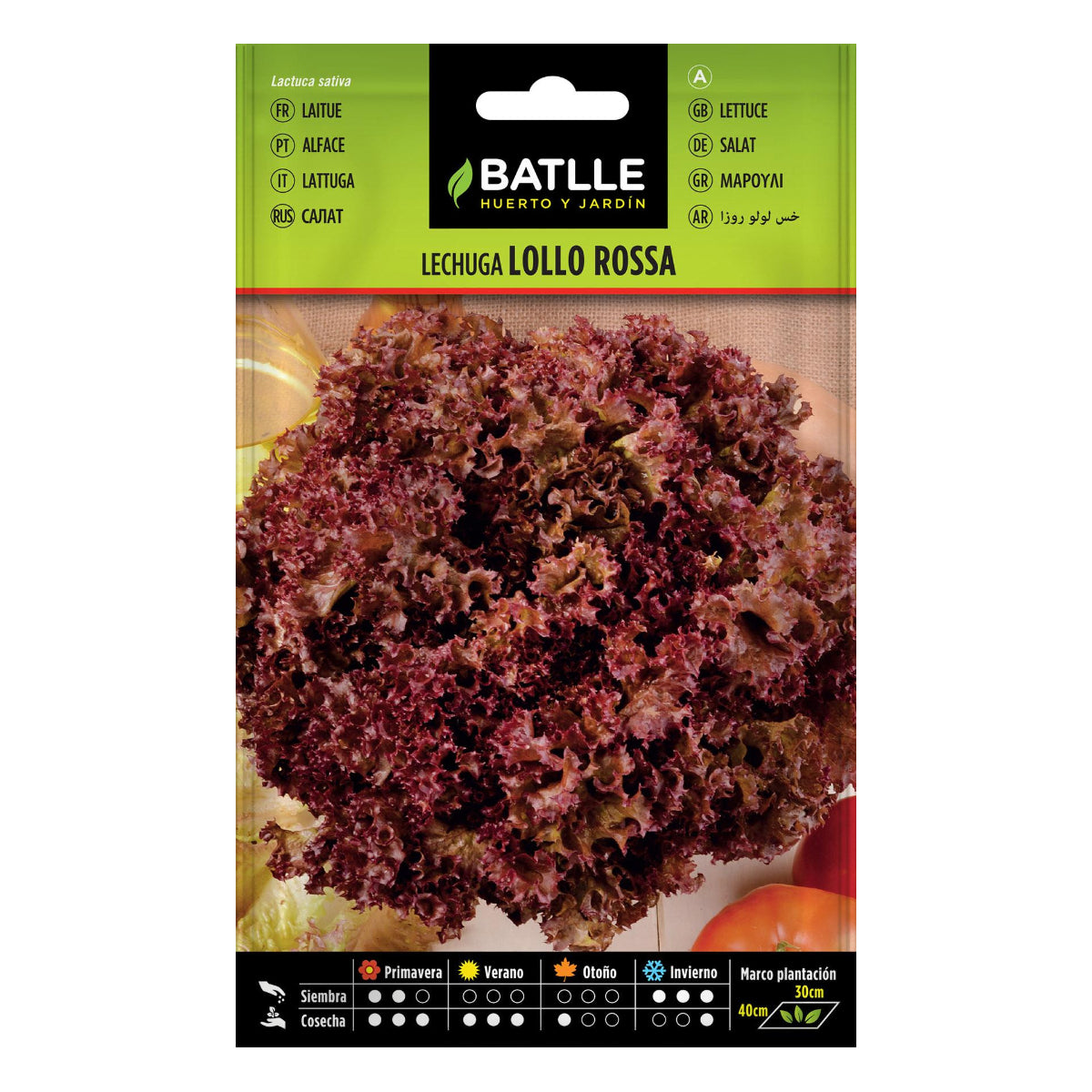 Batlle pink Lollo lettuce seeds