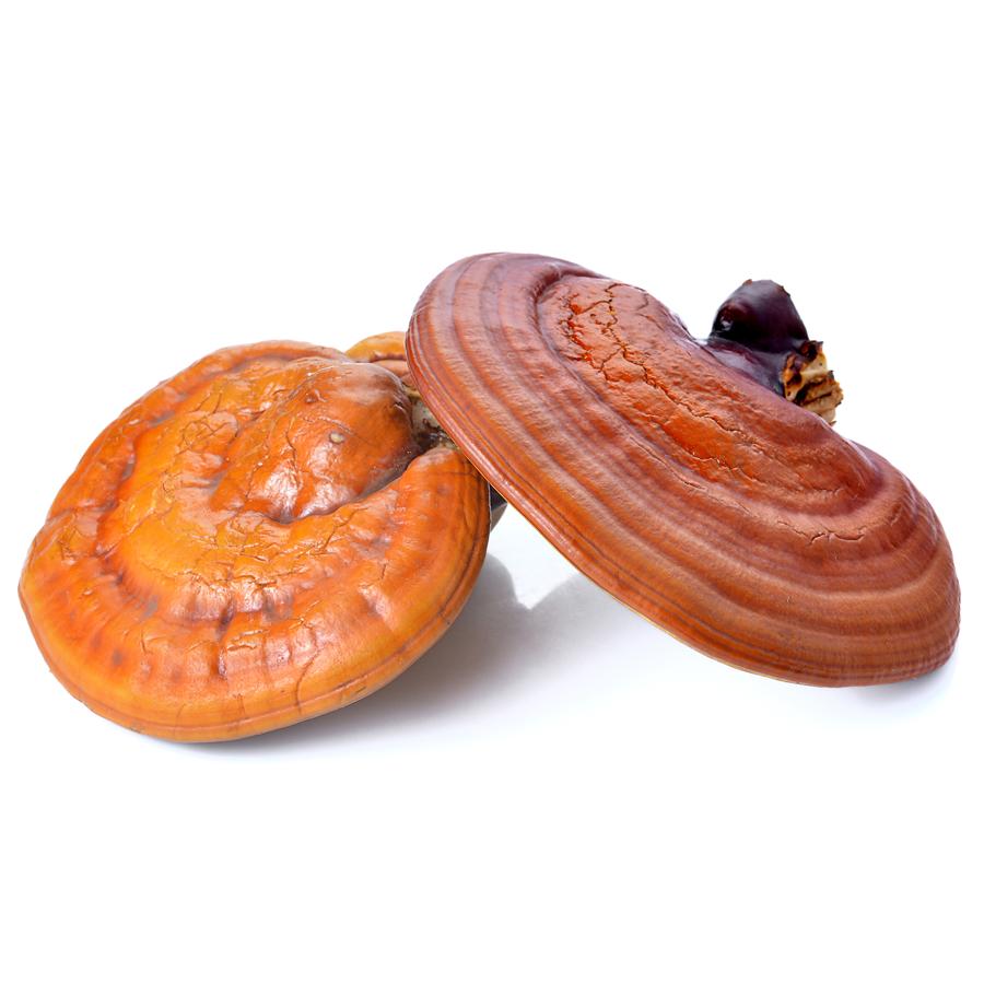 Reishi El Granero 60 Kapseln, 530 mg