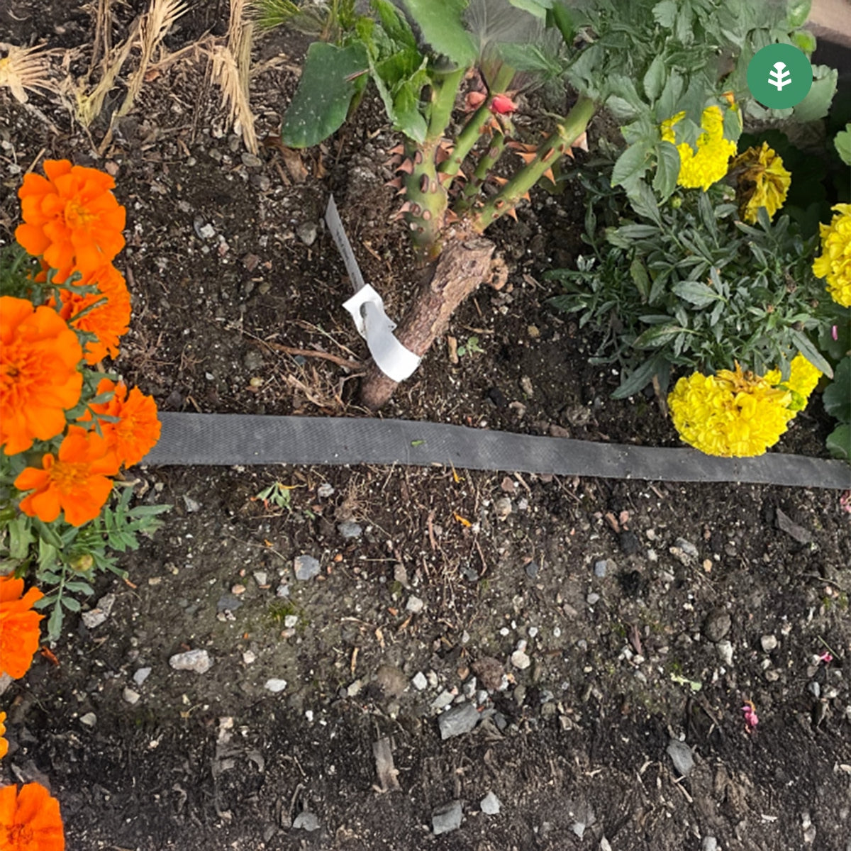 Rotolo di essudazione Agro Planeta Huerto 200 m